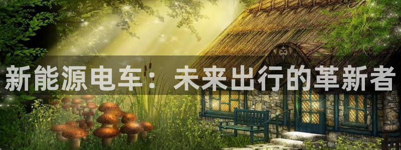 义务摩根娱乐会所:新能源电车:未来出行的革新者