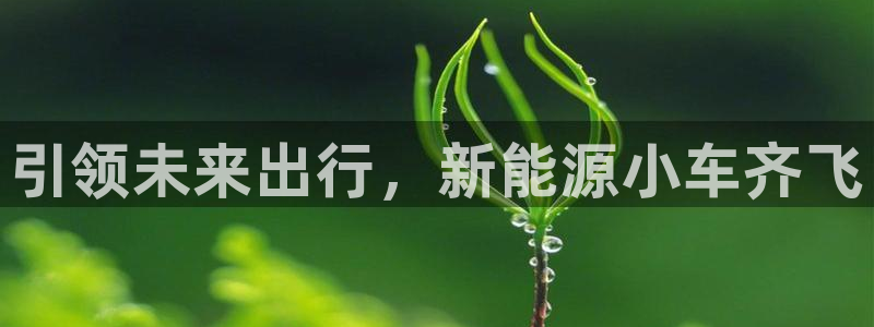 泉州摩根娱乐会所电话多少：引领未来出行，