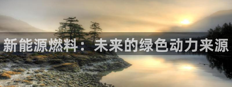 摩根娱乐团:新能源燃料:未来的绿色动力来源