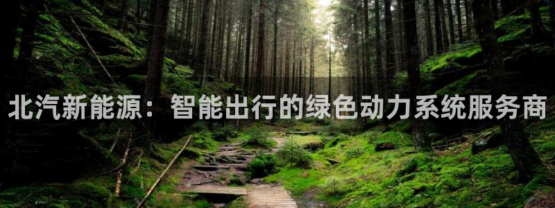 泉州摩根会娱乐场所:北汽新能源:智能出行的绿色动力系统服务商