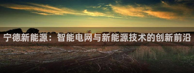 摩根娱乐是真的呀:宁德新能源:智能电网与新能源技术的创新前沿