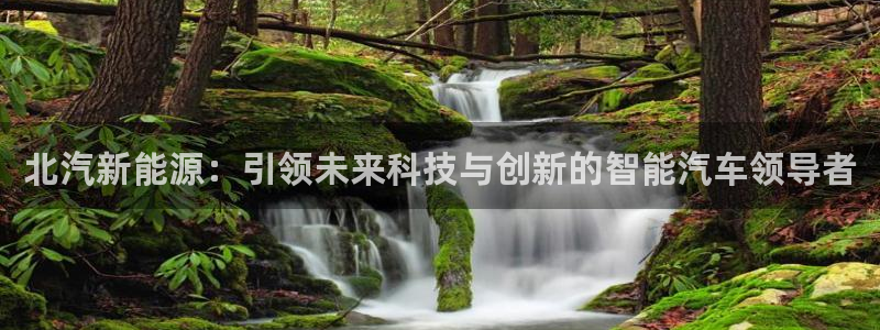 摩根娱乐包是什么：北汽新能源：引领未来科