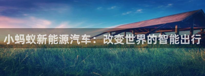 杭州市摩根国际娱乐会所：小蚂蚁新能源汽车