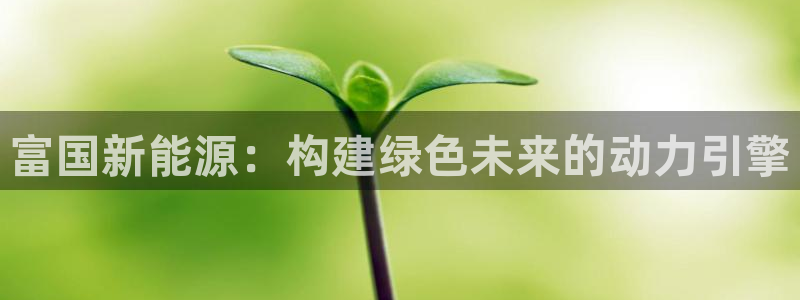 摩根娱乐宝总部招商:富国新能源:构建绿色未来的动力引擎