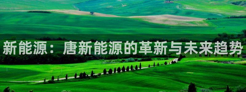 济宁摩根国际娱乐:新能源:唐新能源的革新与未来趋势
