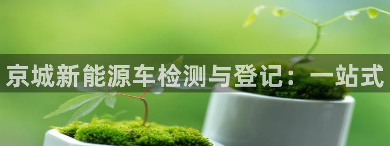 摩根娱乐宝怎么进入:京城新能源车检测与登记:一站式