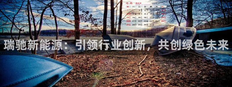 摩根娱乐 F招D商98732:瑞驰新能源:引领行业创新,共创