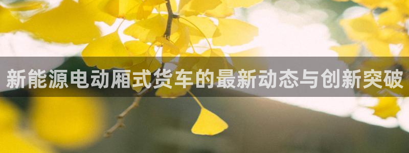 摩根娱乐是什么模式:新能源电动厢式货车的最新动态与创新突破