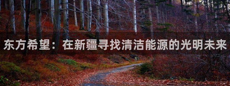 摩根娱乐宝怎样拉下线:东方希望:在新疆寻找清洁能源的光明未来