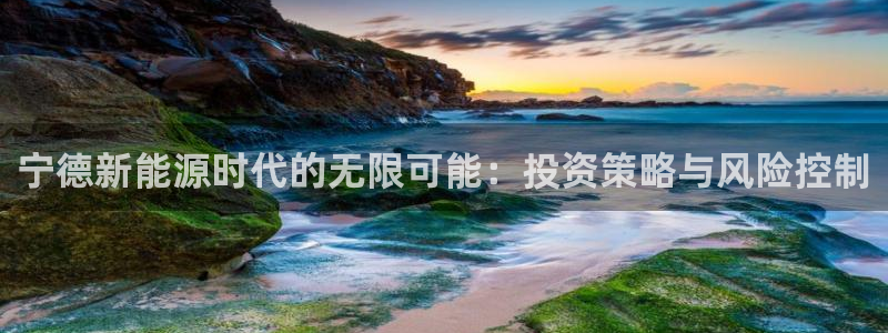 摩根娱乐主管:宁德新能源时代的无限可能:投资策略与风险控制