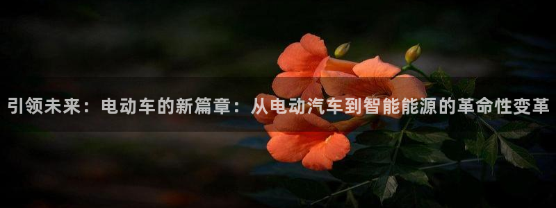 摩根娱乐50186选择:引领未来:电动车的新篇章:从电动汽车