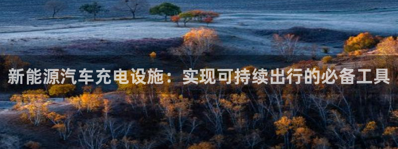 下载摩根娱乐宝:新能源汽车充电设施:实现可持续出行的必备工具